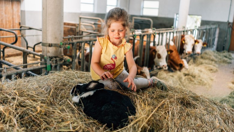 Ferienhaus Lenzau, &copy; Familie Heigl