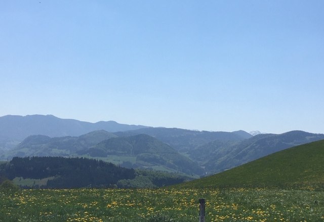 Blick ins Mostviertel, &copy; Monika Stock