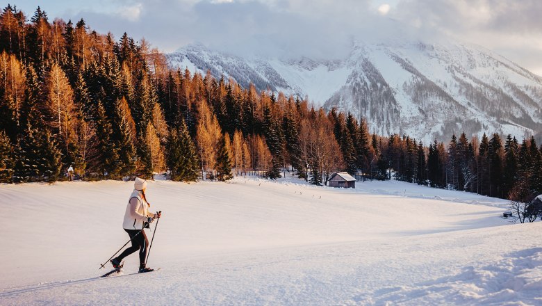 Nestelberg 17, © Sabine Wieser