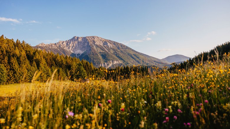 Nestelberg 17, © Sabine Wieser