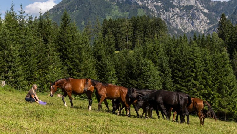 Eine Frau sitzt auf einer Wiese vor einer Gruppe von Pferden, umgeben von Wald und Bergen im Hintergrund.