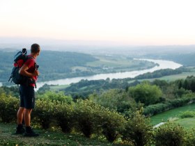 Blick auf die Donau, © weinfranz.at