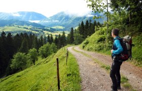 Ausblick an der Via Trinitatis, &copy; Mostviertel