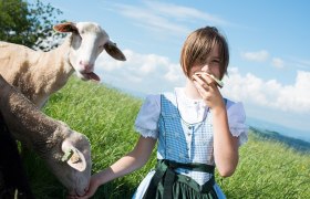 Bauernhaus Franzenreith, &copy; dphoto.at