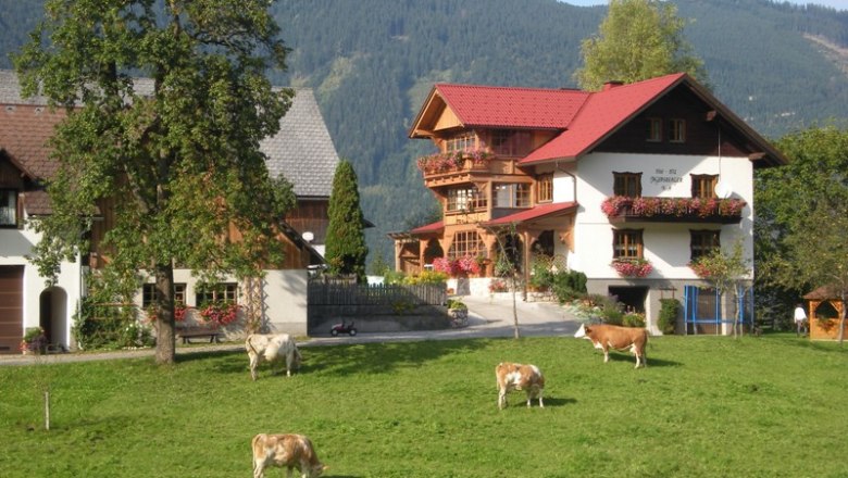 Bauernhof mit Kühen auf einer Wiese vor einem traditionellen Haus in den Alpen.