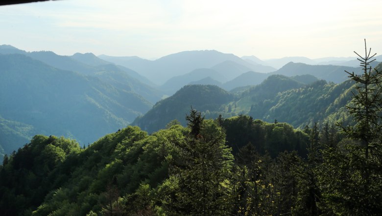 Blick von der Aussichtswarte Hochbärneck auf bewaldete Hügel und Berge in der Ferne.
