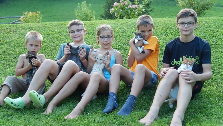 Kinder mit Katzen, © Poidlbauer
