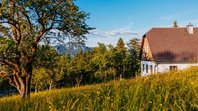 Nestelberg 17, © Sabine Wieser