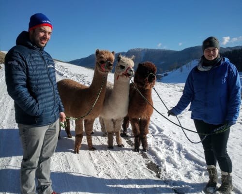 Biobauernhof MItterhirschberg, &copy; Familie Schweighuber