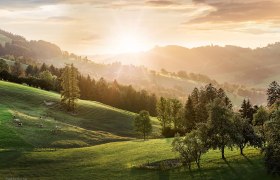 Wiesberg, &copy; schwarz.koenig.at