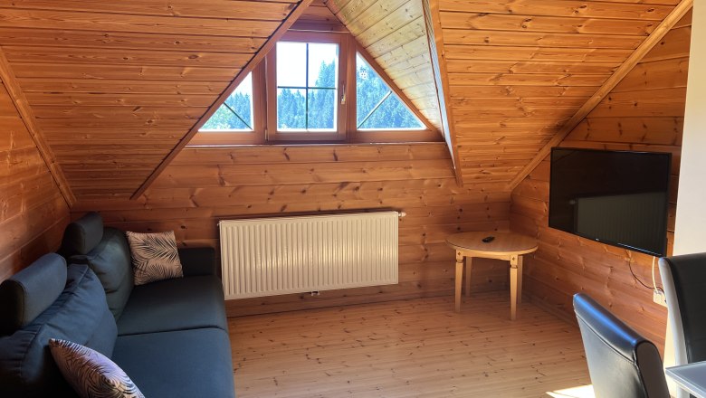 Gem&uuml;tliches Wohnzimmer in einer Dachgeschosswohnung mit Holzverkleidung, Sofa, Fernseher und Dachfenster.