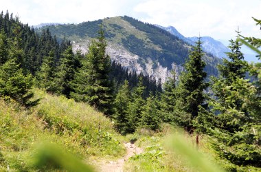 Wanderung beim Ötscher, © Mostviertel Tourismus, weinfranz.at