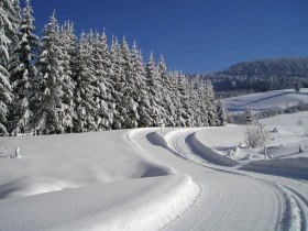 Hochmoorloipe, &copy; Mostviertel