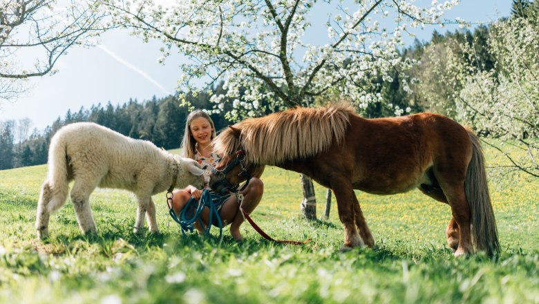 Ferienhaus Lenzau, &copy; Familie Heigl