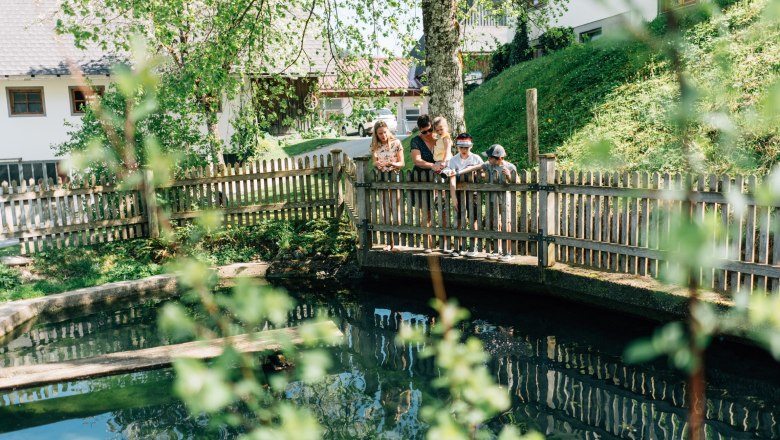 Ferienhaus Lenzau, © Familie Heigl
