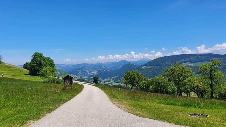 &Ouml;tscherBlick, &copy; Melanie Schweighuber