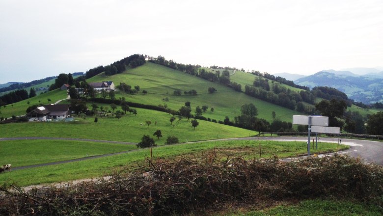 Landschaft mit gr&uuml;nen H&uuml;geln, Bauernh&auml;usern und einer kurvigen Stra&szlig;e.