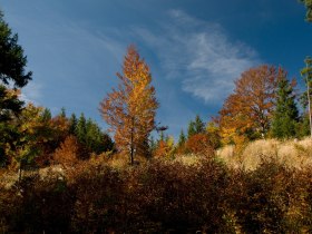 H&ouml;henr&uuml;ckenweg, &copy; Mostviertel