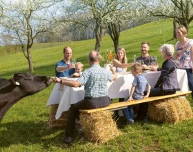 Mostviertler Hof-Erlebnisse – Genuss in Gemeinschaft, © Theo Kust
