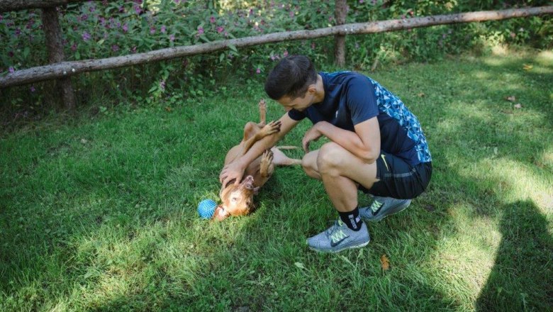 Ferienapartments Forst Kienberg, &copy; 2024 Forst Kienberg