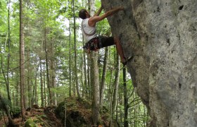 Natur pur im Schluchtenweg, © Ybbstal Climbing