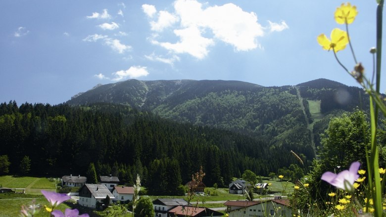 Berglandschaft mit Blumenwiese und Dorf im Vordergrund, Wald und Berg im Hintergrund.